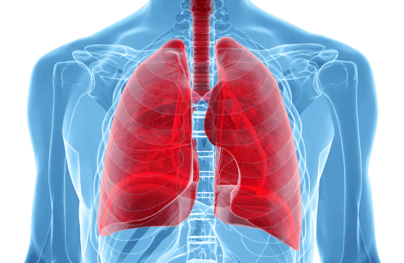 Поведение при инфекции на долните дихателни пътища в амбулаторни условия