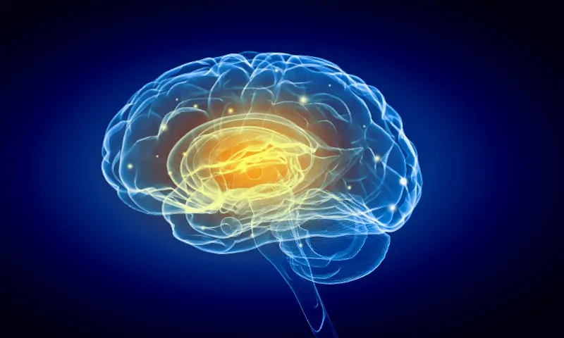 Паркинсонова болест – възможности за лечение с дълбока мозъчна стимулация