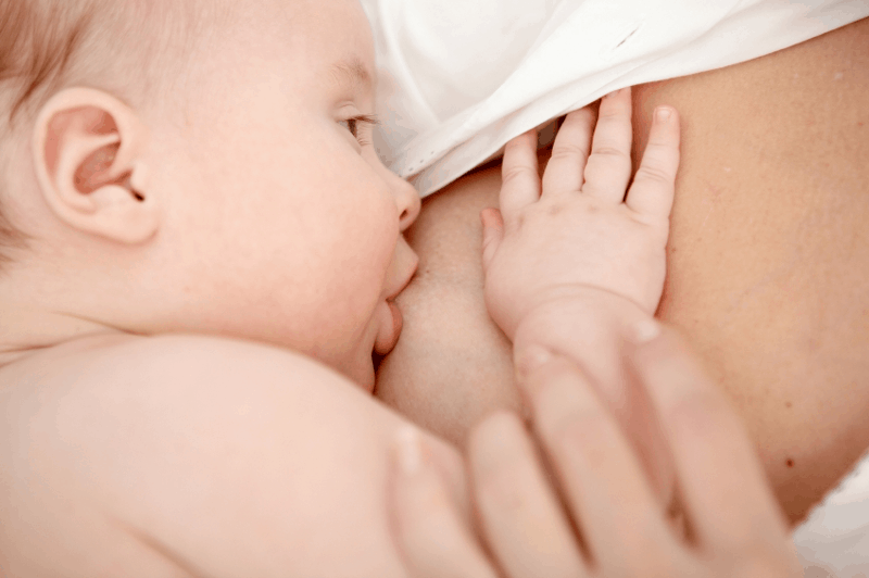 Биоактивни компоненти в майчината кърма и в млеката за кърмачета