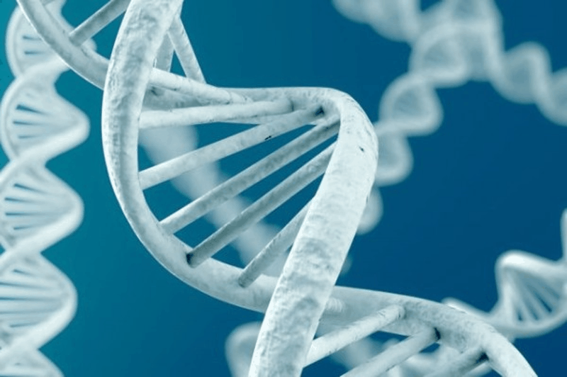 Ултраструктурни промени при Сryptococcus neoformans под влияние на НСПВС