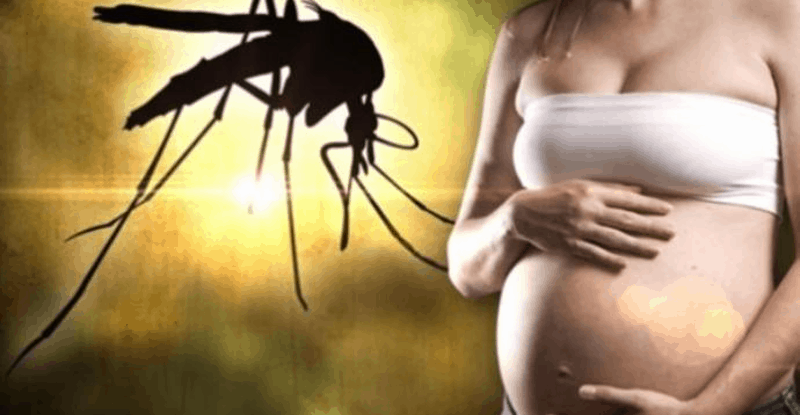 Зика вирусна инфекция