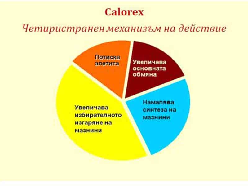 механизъм на действие