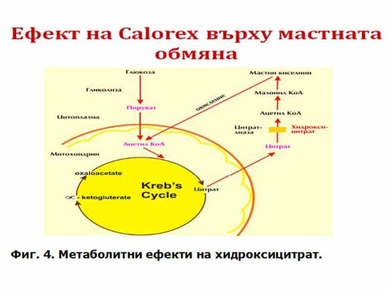 метаболитни ефекти