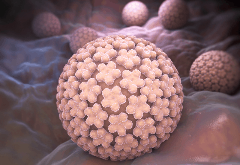човешки папиломен вирус (HPV)