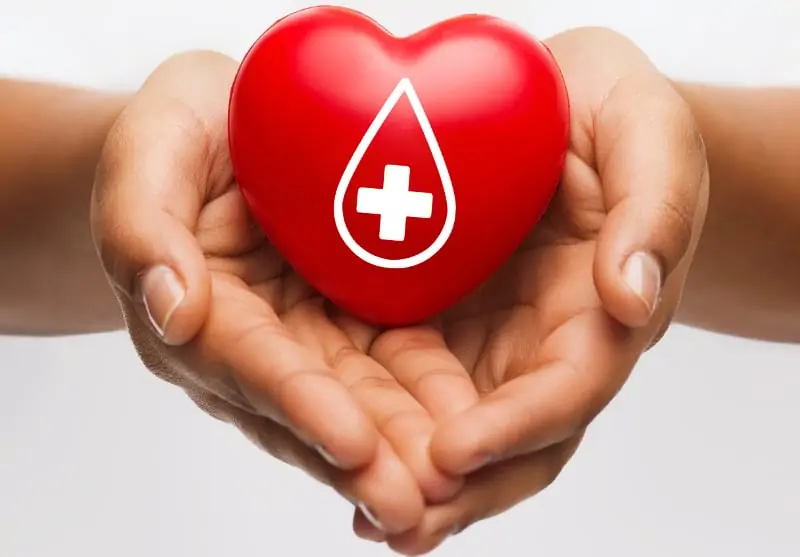 Дружество на кардиолозите отбелязва Световния ден на сърцето с две инициативи в София