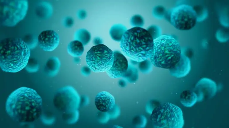 Кои са най-смъртоносните микроорганизми днес въпреки напредъка на медицината
