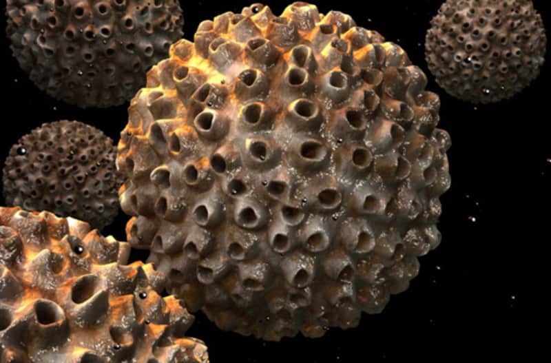 Human papillomavirus