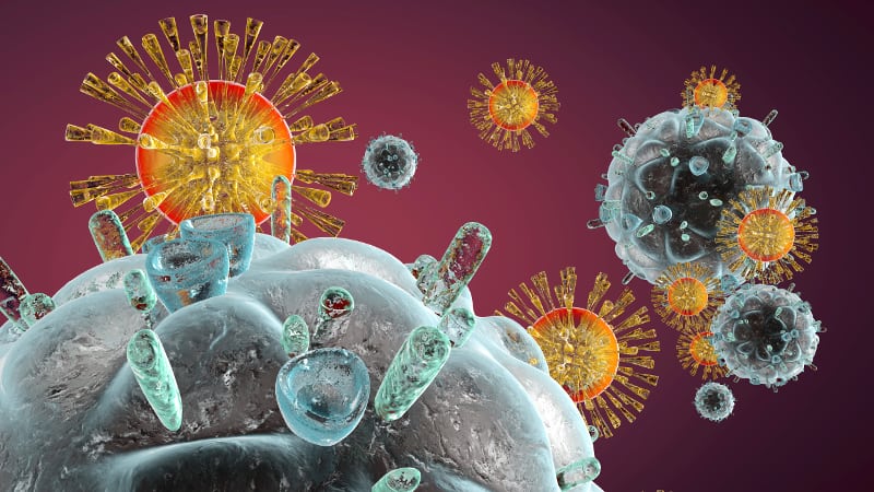 РОЛЯТА НА ИМУННАТА СИСТЕМА В БОРБАТА СРЕЩУ HIV