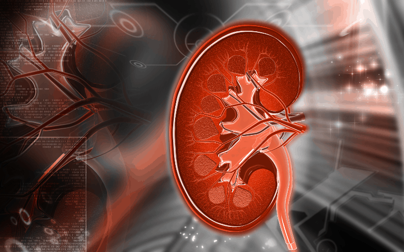 Гломерулонефрити