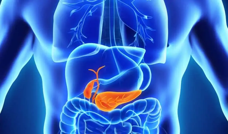 Заместително лечение с панкреасни ензими при заболявания на храносмилателния тракт
