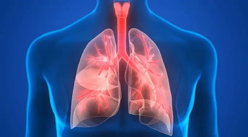 Klacid в лечението на инфекциите на дихателната система