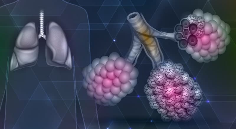 Закона за забрана на наргилетата