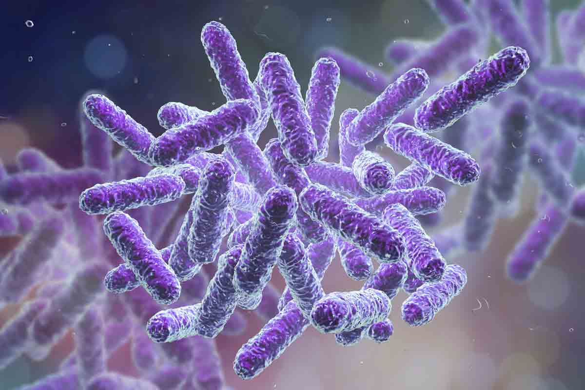 Микробиомът - геномът на чревната флора