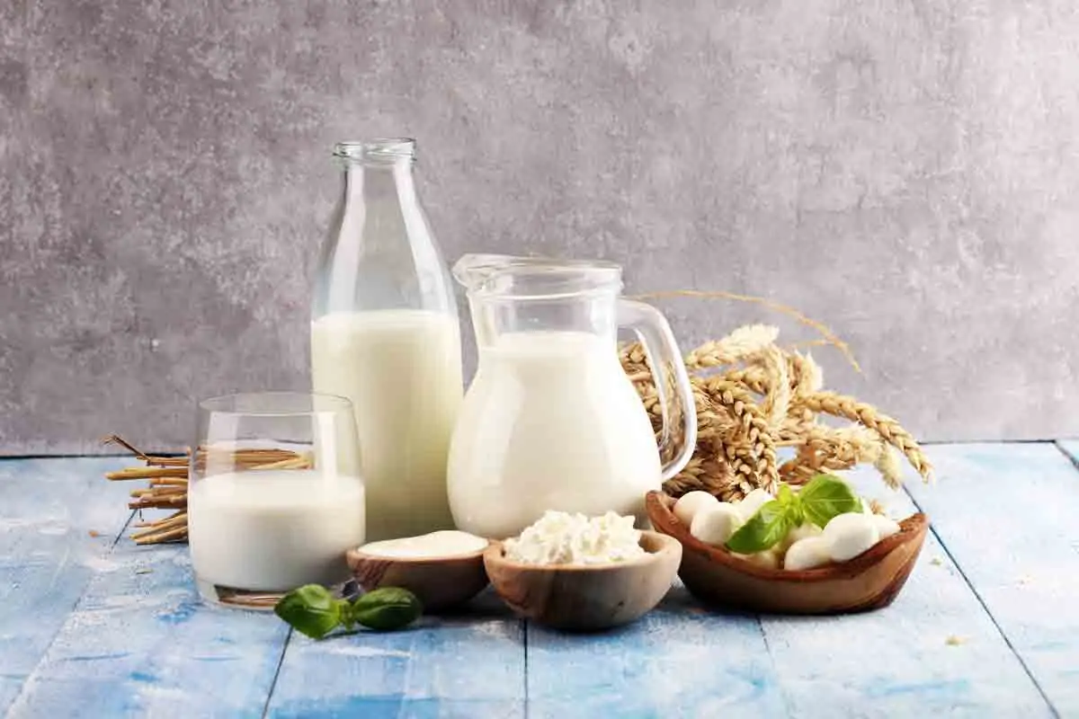 “Зa и против“ млякото и млечните продукти – научни доказателства и експертна дискусия