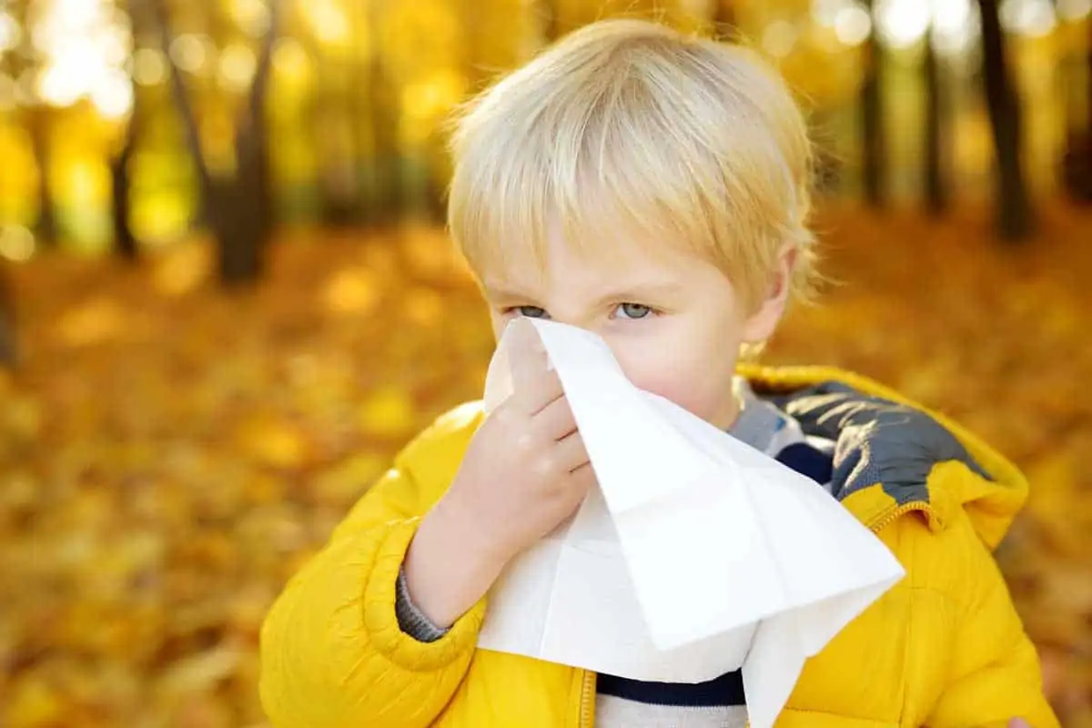 Алергичен ринит – фактори, определящи появата му