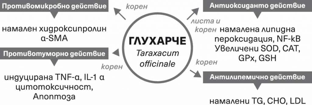 Чернодробни заболявания