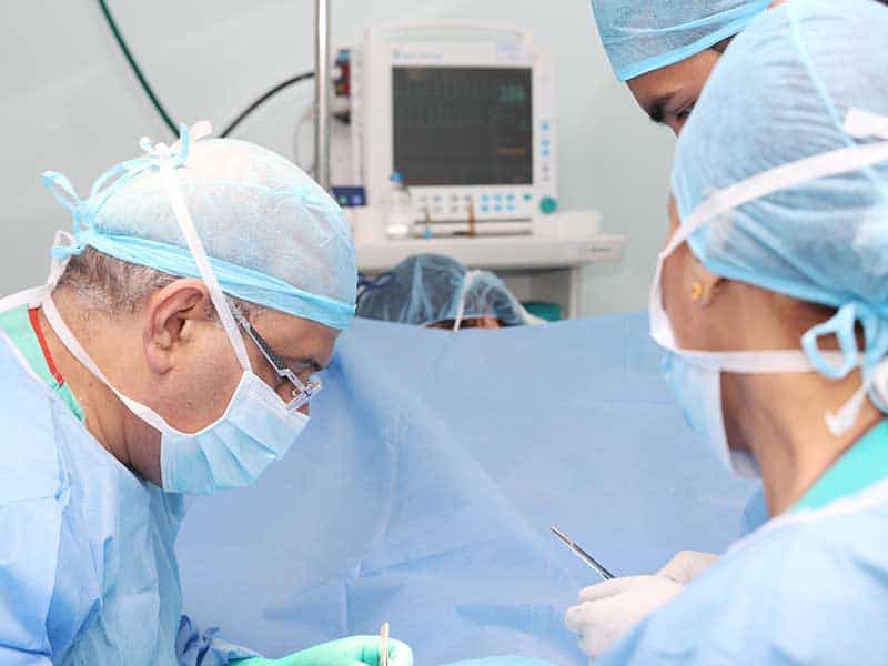нов ред за трансплантациите
