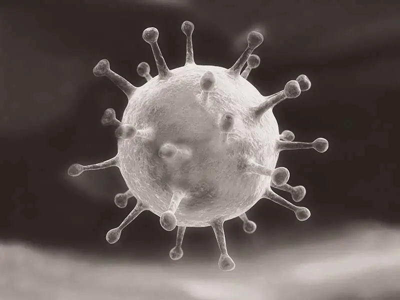 Поява на нова коронавирусна епидемия