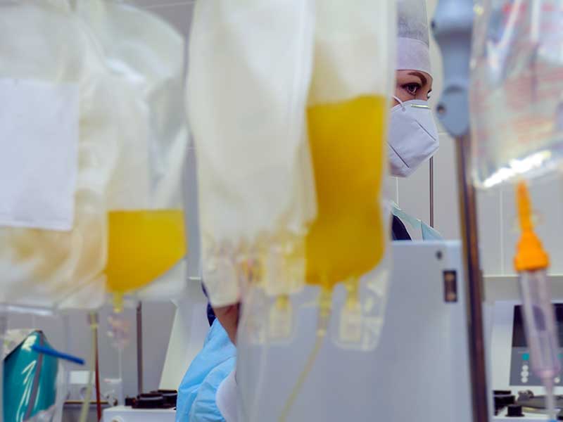 МС гласува 7 650 000 лева за изграждане на хладилна инсталация за ...