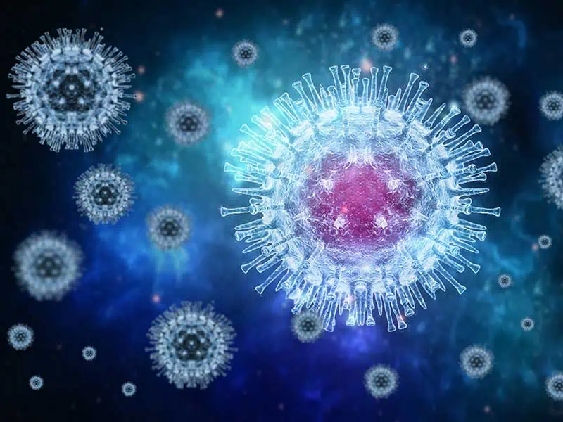 грипните вируси тип А