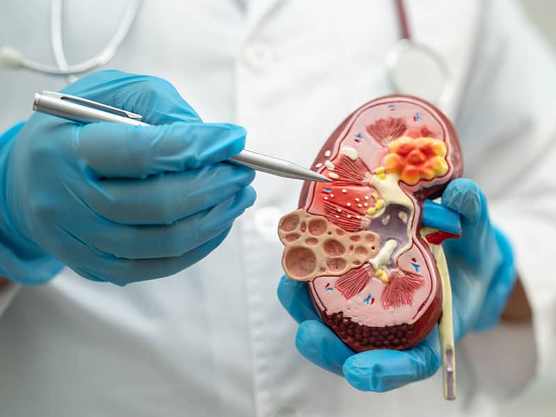 Национален образователен проект