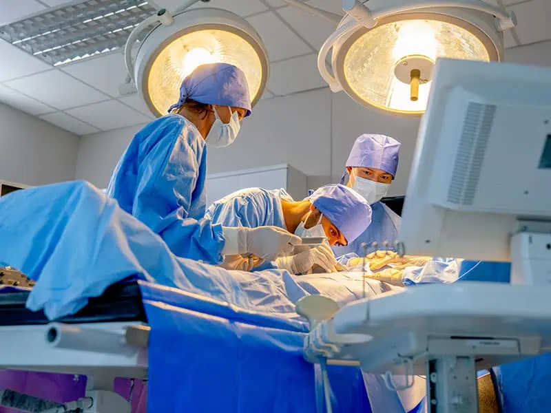 48 трансплантации за денонощие направиха в Испания