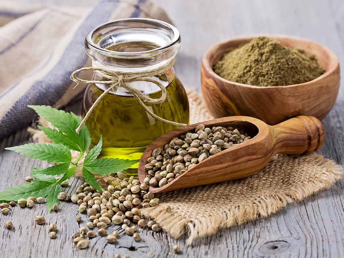 биологично-активните вещества в конопа